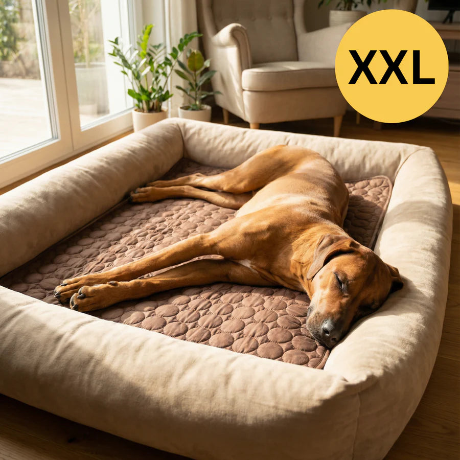 Matelas rafraîchissant pour l'été | OFFRE 1+1