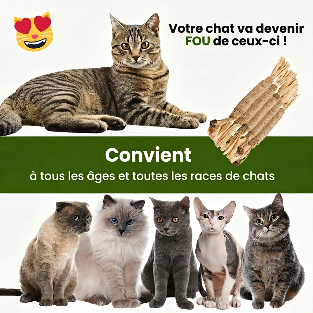 2 Bâtonnets dentaires naturels à la silvervine