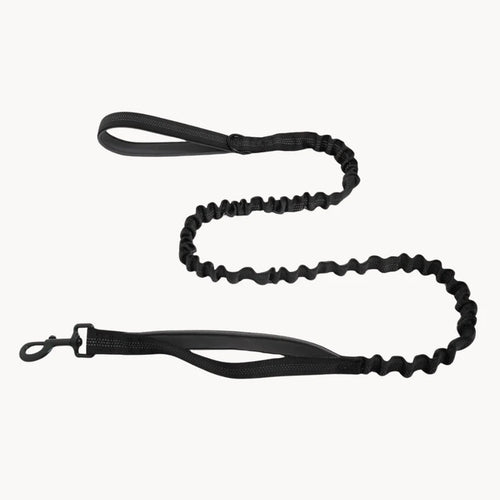 🎁 Laisse élastique Domylea GRATUITE