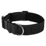 Collier pour chien