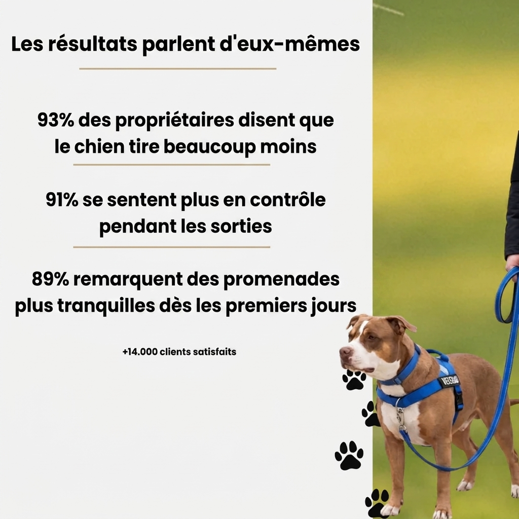Harnais Domylea™ – Fini les tirages, contrôle total