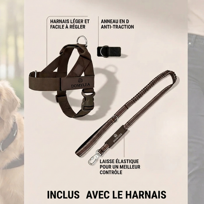 Harnais Domylea™ – Fini les tirages, contrôle total