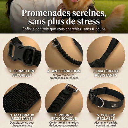 Harnais Domylea™ – Fini les tirages, contrôle total