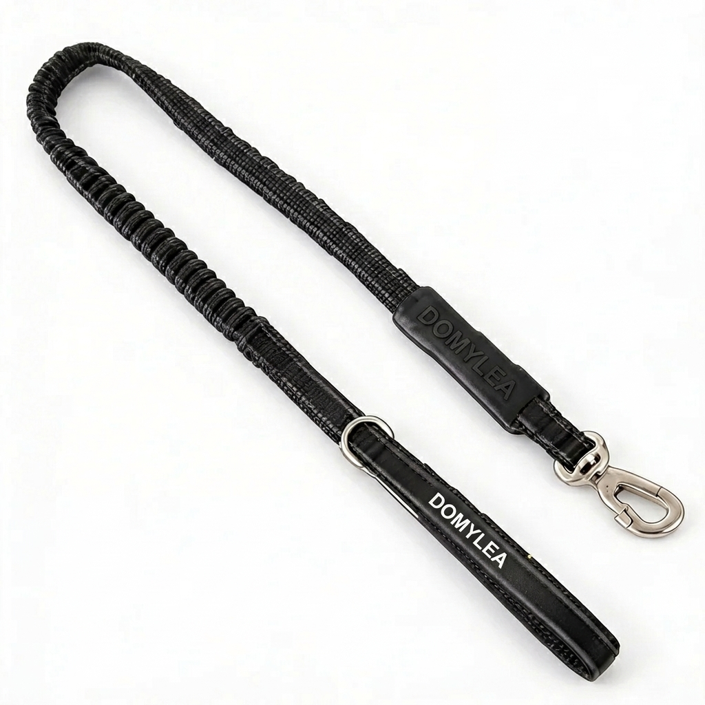 Laisse pour chien 2m