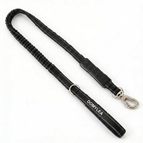 Laisse pour chien 2m