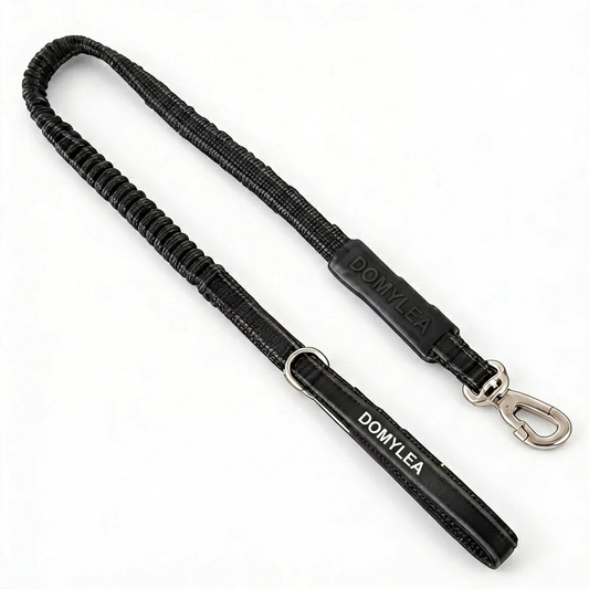 Laisse pour chien 2m