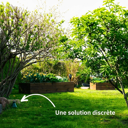 Limaxo™ — Piège à limaces écologique