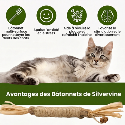 2 Bâtonnets dentaires naturels à la silvervine