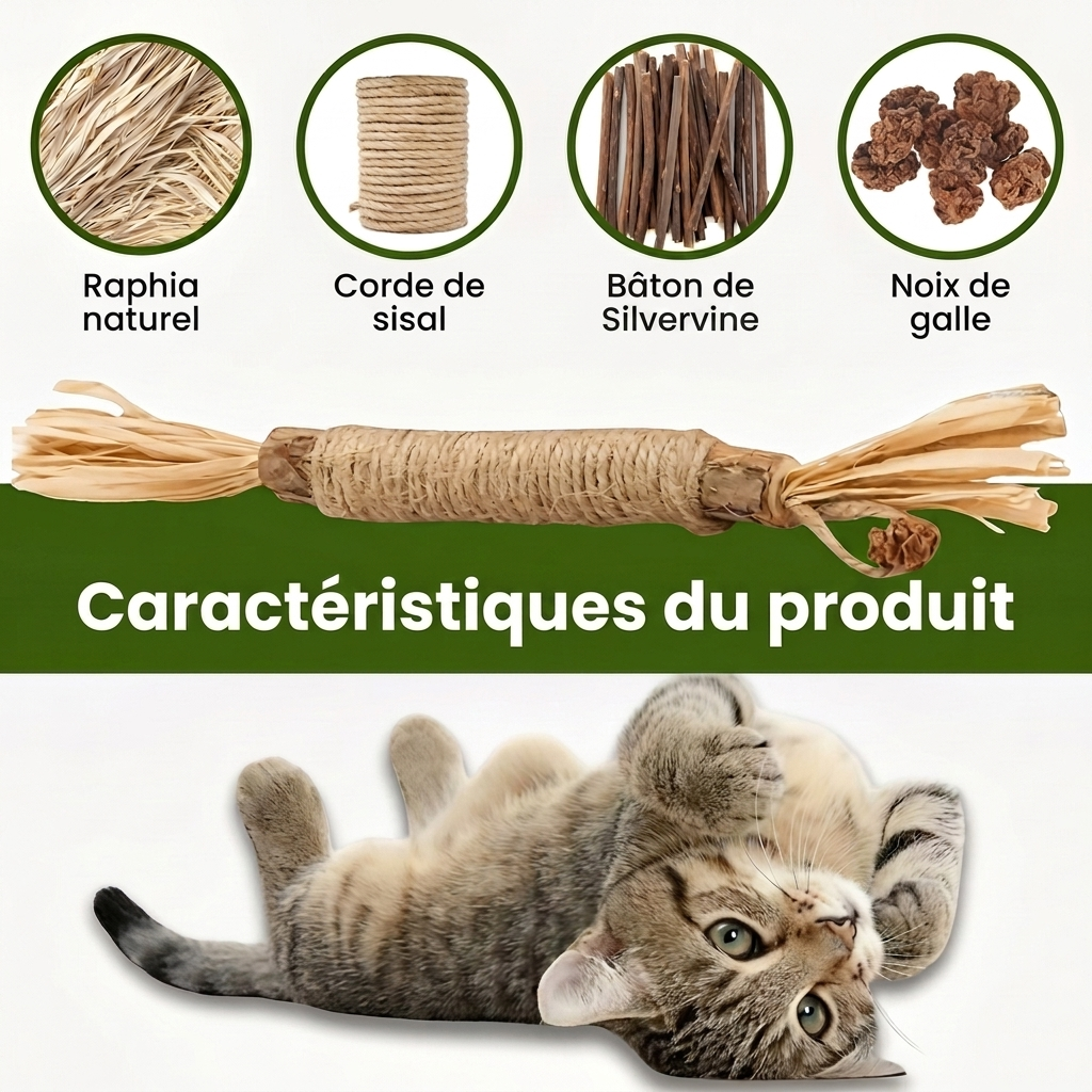2 Bâtonnets dentaires naturels à la silvervine