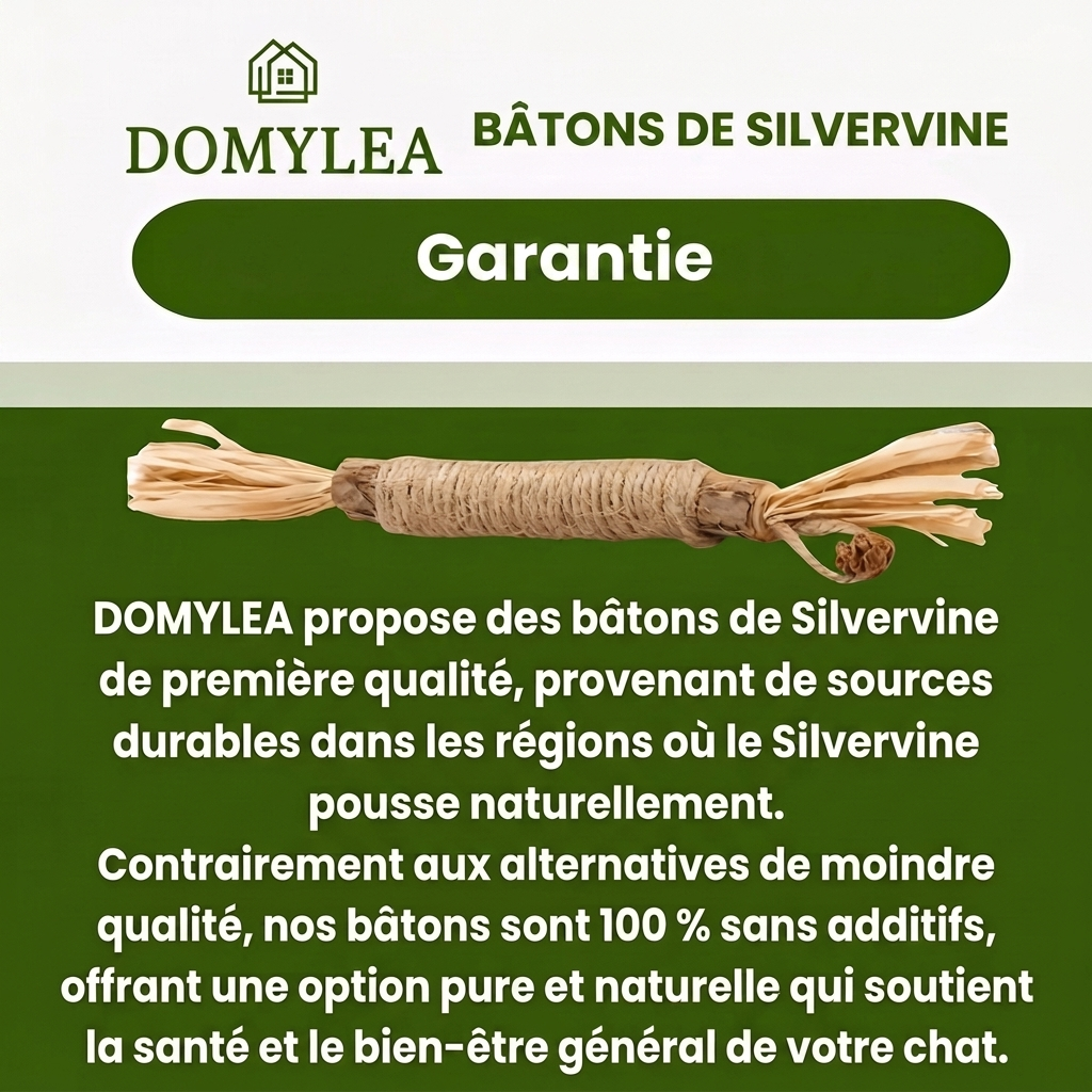 2 Bâtonnets dentaires naturels à la silvervine