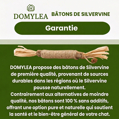 2 Bâtonnets dentaires naturels à la silvervine