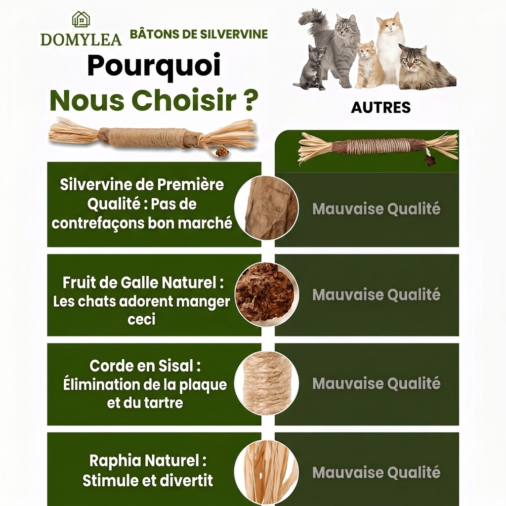 2 Bâtonnets dentaires naturels à la silvervine