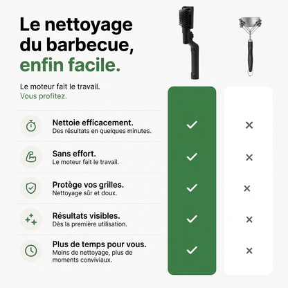 Domylea GrilPro™ - Votre grille brille sans le moindre effort