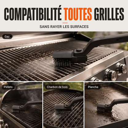 Domylea GrilPro™ - Votre grille brille sans le moindre effort