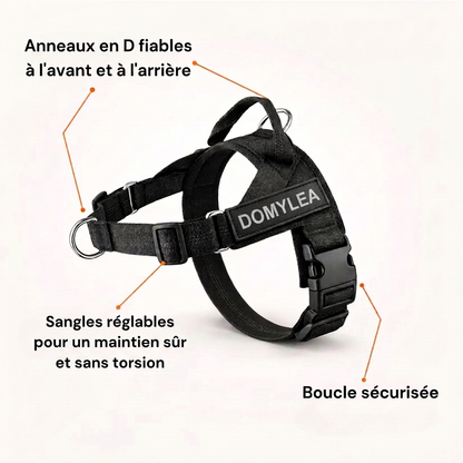 Domylea Harnais Anti-Traction