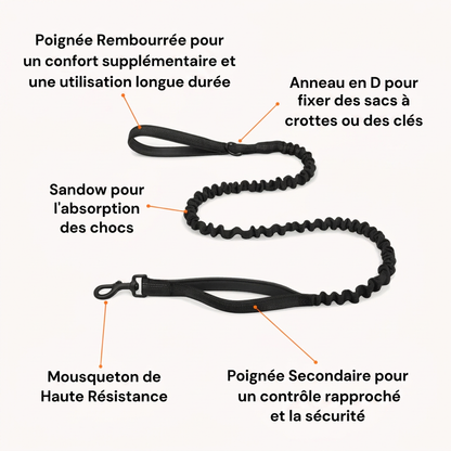 Domylea Harnais Anti-Traction