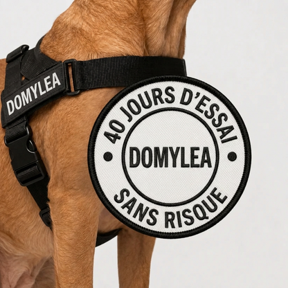 Domylea Harnais Anti-Traction